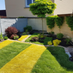 Abattage : enlevez les arbres dangereux ou indésirables de votre jardin en toute sécurité Pointe-à-Pitre